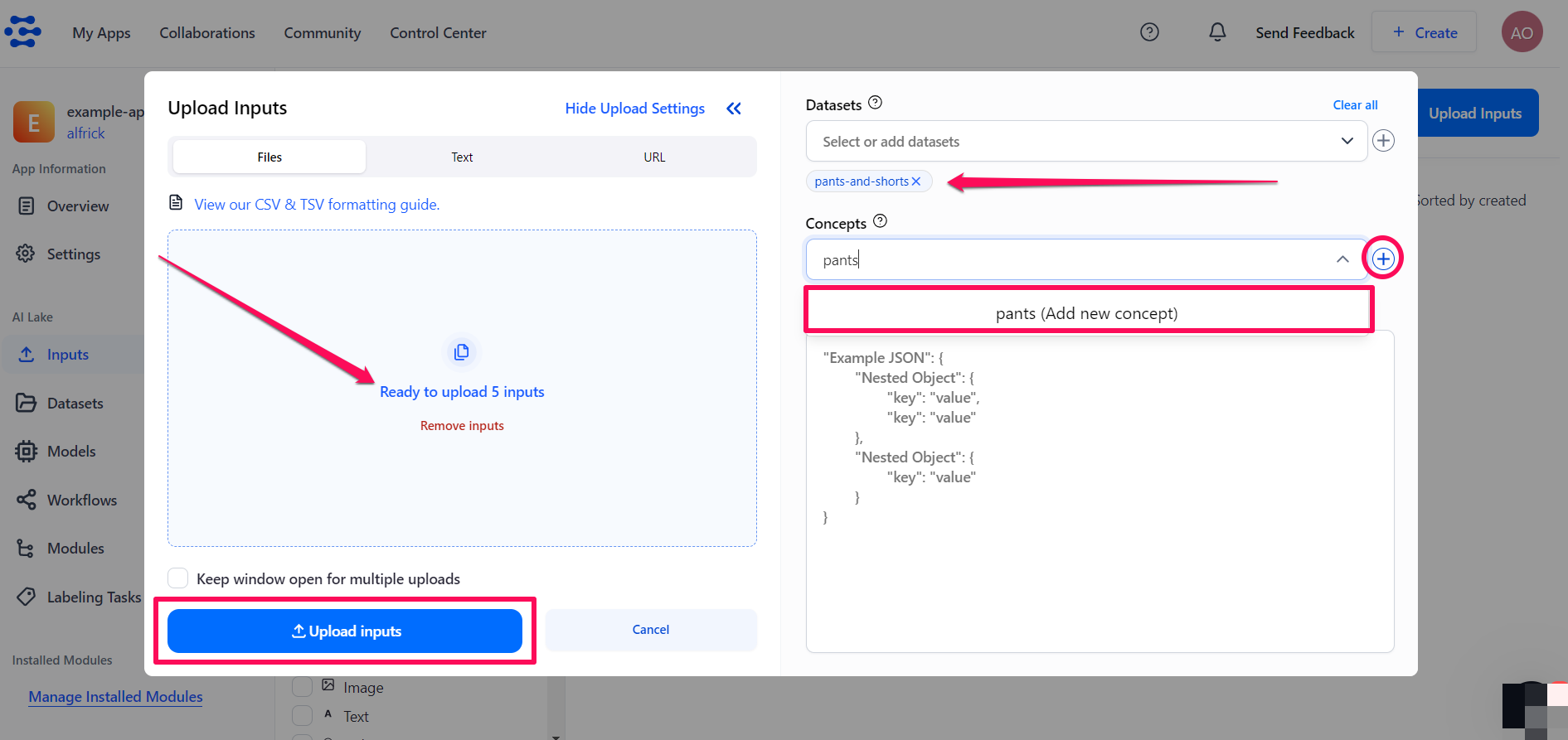 upload inputs window