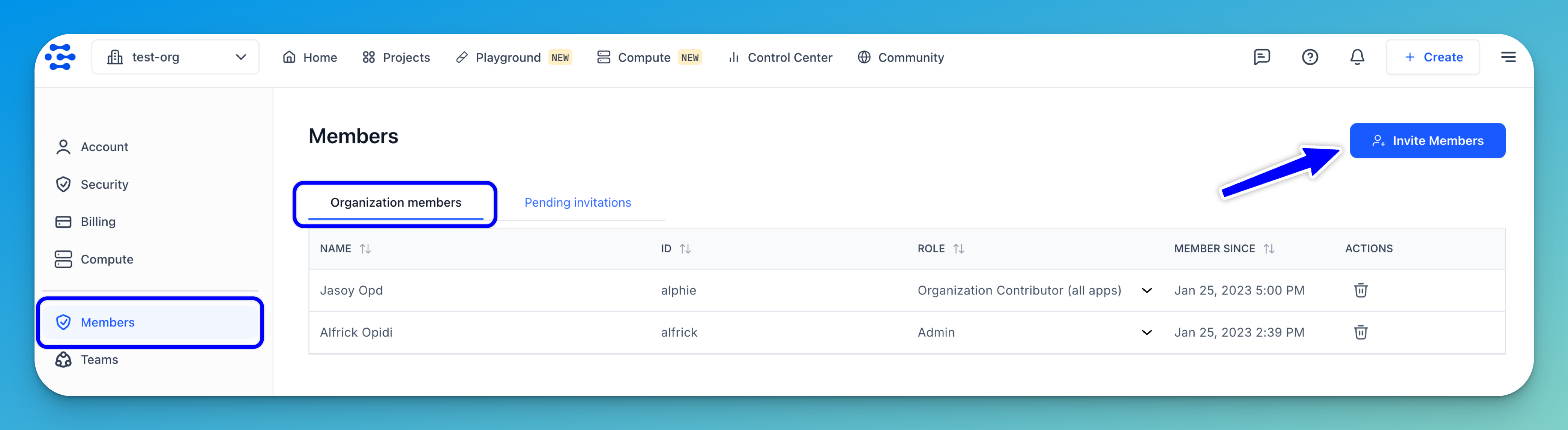 Organization settings page