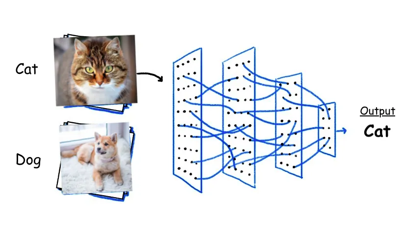 Image Classification Example